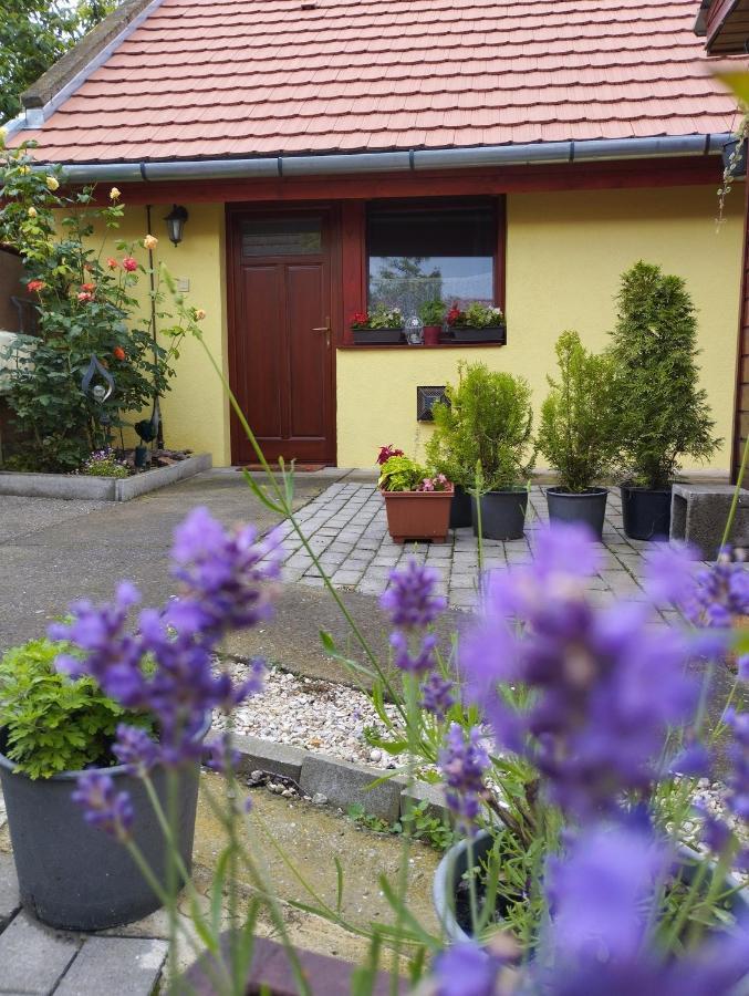 Kis Apartmanhaz