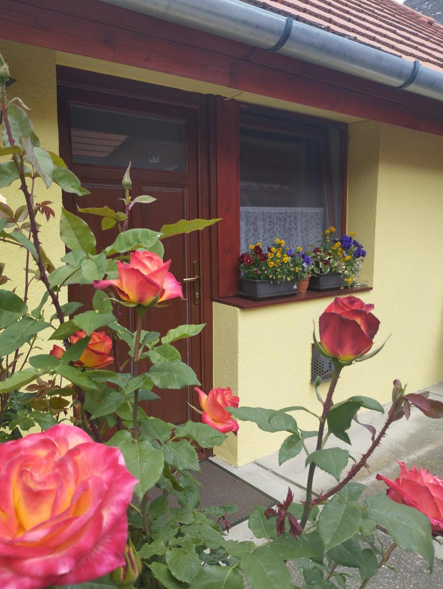Apartment Kis Apartmanhaz